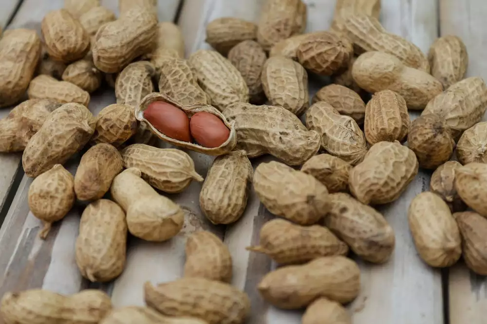 Láhev Na Protein