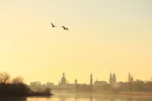 Práce Dresden Bez Němčiny