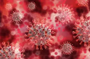 Czech Virus Beast Virus V2.0